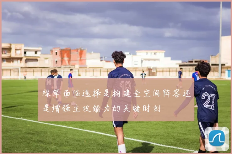 绿军面临选择是构建全空间阵容还是增强主攻能力的关键时刻
